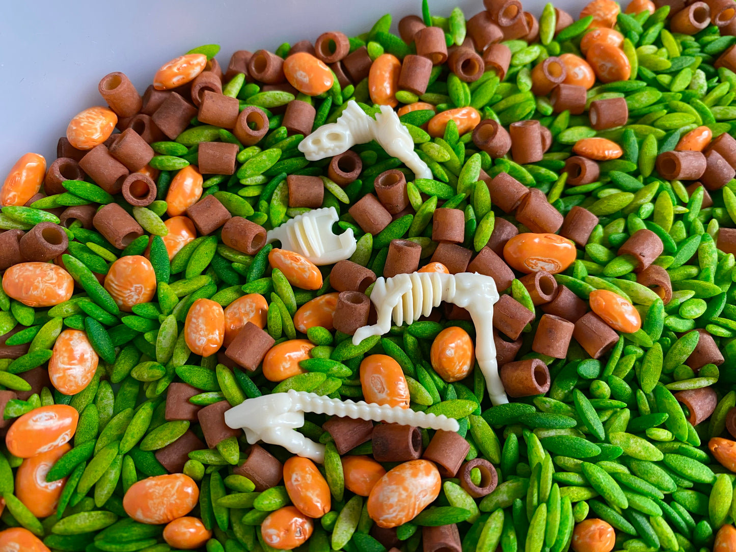 Dino Sensory Bin