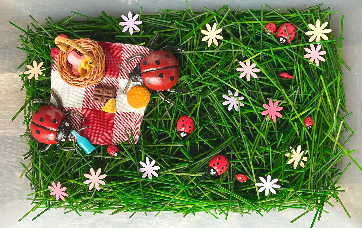 Ladybugs' Picnic